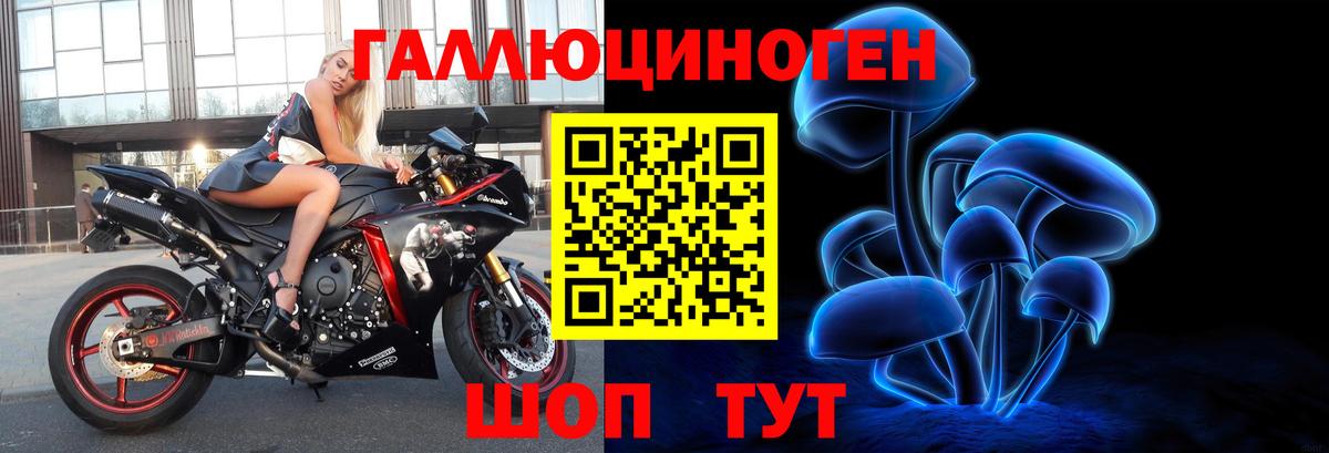 закладки  Вход с VPN  Шали  Галлюциногенные грибы мухоморы 