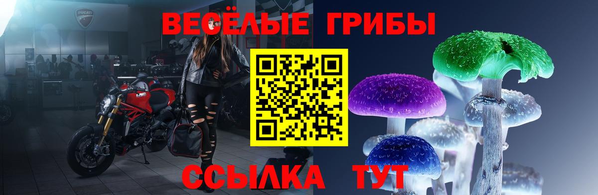 Псилоцибиновые грибы Cubensis Шали